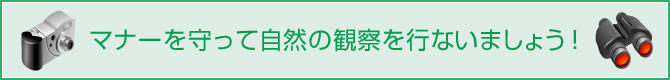 マナーを守って自然の観察を行いましょう！