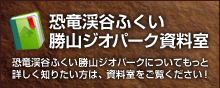 恐竜渓谷ふくい勝山ジオパーク資料室