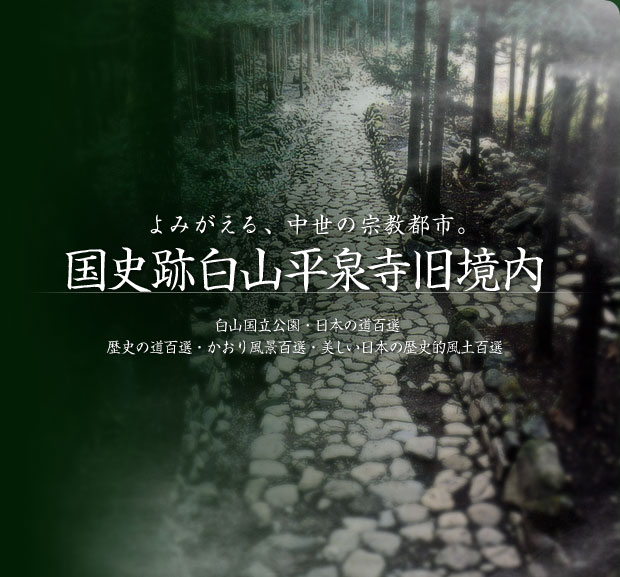 よみがえる、中世の宗教都市。国史跡白山平泉寺旧境内 白山国立公園・日本の道百選 歴史の道百選・かおり風景百選・美しい日本の歴史的風土百選