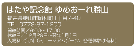 はたや記念館ゆめおーれ勝山