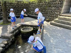 成器西小学校の取り組み