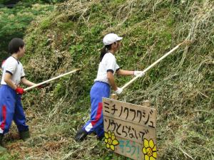 村岡小学校の取り組み
