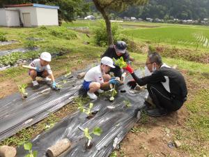 鹿谷小学校の取り組み