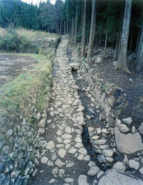 国史跡白山平泉寺旧境内 発掘で出土した石畳道