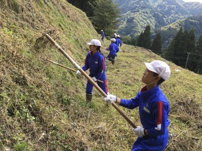 ミチノクフクジュソウ保全活動