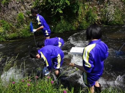 川の清掃活動