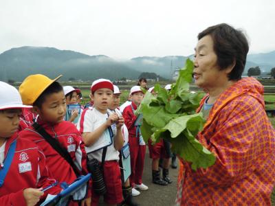 野菜作り