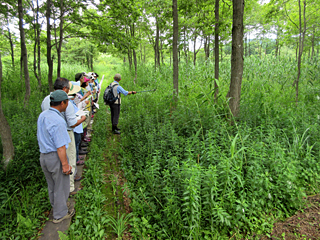 池ヶ原低層湿原での自然観察会