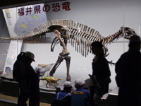福井県の恐竜コーナー