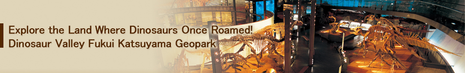 Explore the Land Where Dinosaurs Once Roamed! Dinosaur Valley Fukui Katsuyama Geopark
