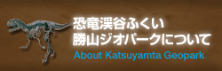 恐竜渓谷ふくい勝山ジオパークについて