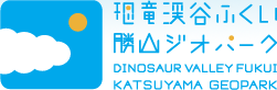 Dinosaur Valley Fukui Katsuyama Geopark