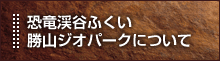 恐竜渓谷ふくい勝山ジオパークについて