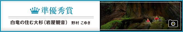 準優秀賞  白竜の住む大杉（岩屋観音）　野村　こゆき