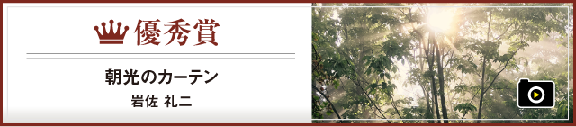 優秀賞  朝光のカーテン　岩佐礼二