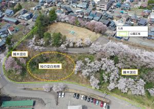 長山公園航空写真