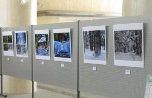 北野武男さん写真展