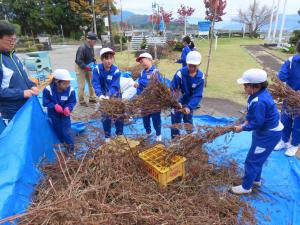 野向小学校の取り組み