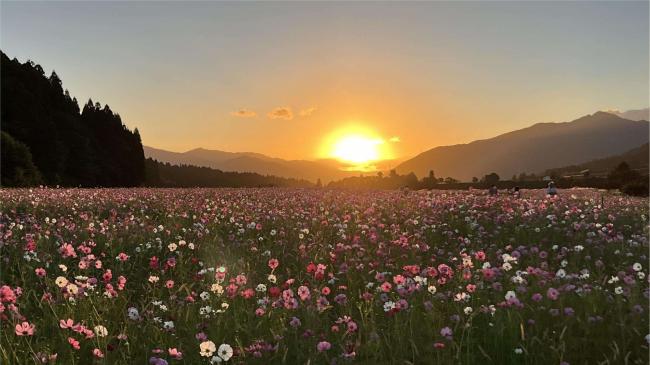 野向町にこにこ地域づくり事業活動報告6