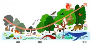 ネイチャーポジティブポータル（環境省）