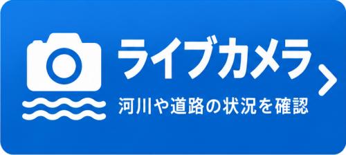 ライブカメラ画像