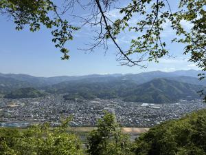 バンビライン