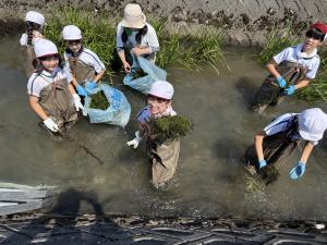 北郷小学校の取り組み