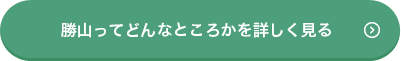 勝山ってどんなところかを詳しく見る