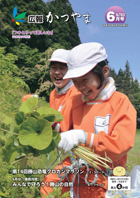 広報かつやま平成30年6月号