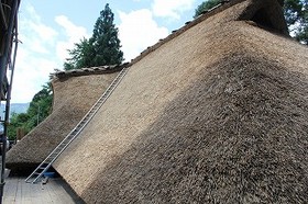 茅葺き屋根　（東面）