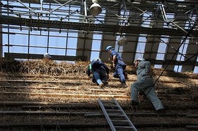 屋根の上に登ってみます