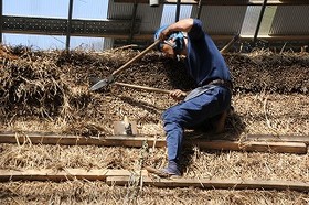 屋根の上でハサミを入れて