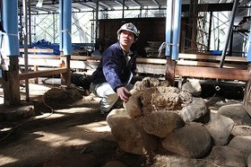 仏壇近くの囲炉裏　根がらみの位置確認