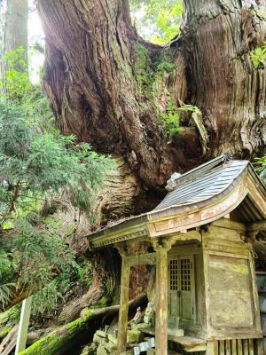 岩屋観音