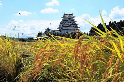 勝山城