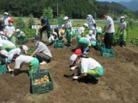 野菜づくり