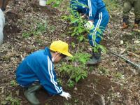 荒土小学校