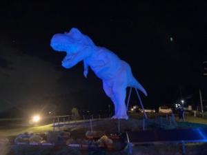 ホワイトザウルスブルーライトアップの写真